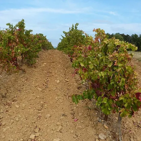 L'ecrit Vin Holiday home